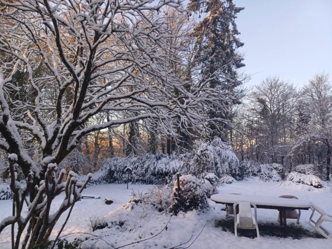 1 place en colocation au château Tutu