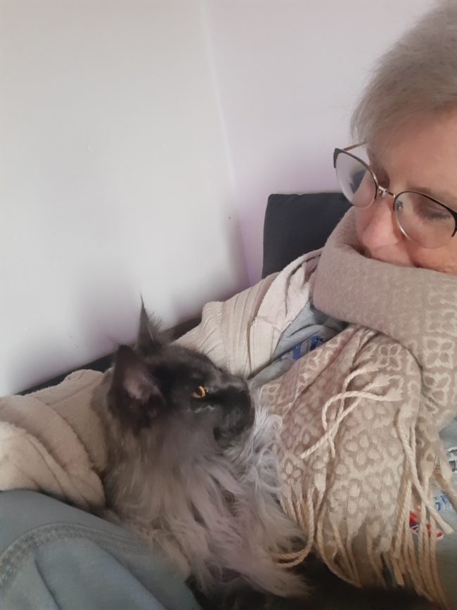 Recherche logement dans habitat regroupé