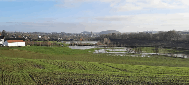 Studio dans un coin de nature à Rebecq