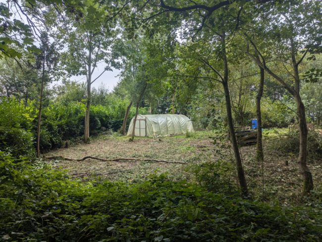 1 place en colocation au château Tutu