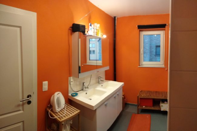 Chambre dans une colocation à Nivelles (proximité gare, libre, non fumeur) avec grand jardin potager.