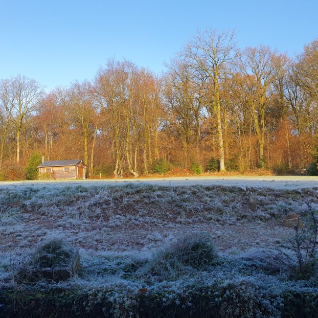 Projet d’habitat groupé à Regniessart, au cœur de la forêt de Viroinval