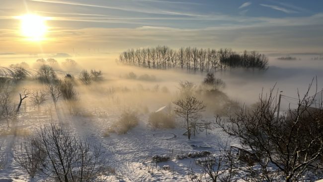 Lot à vendre habitat groupé Henripont