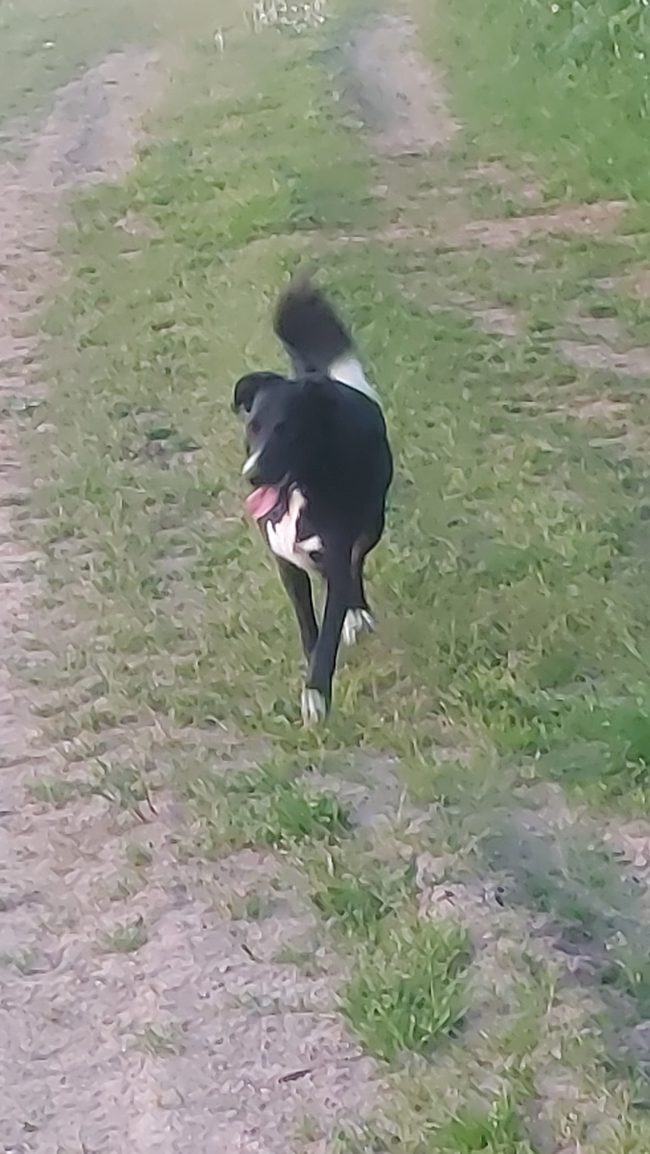 Cherche maison ou cohabitation ,à louer.