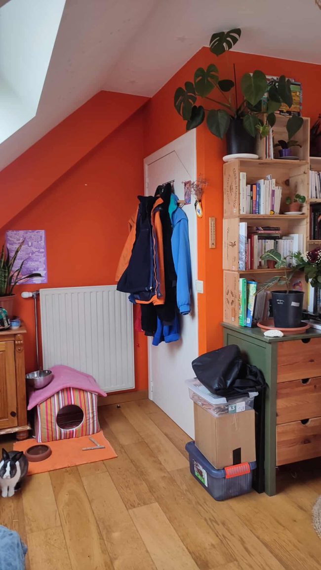 Chambre dans une coloc de 5 personnes à Boitsfort