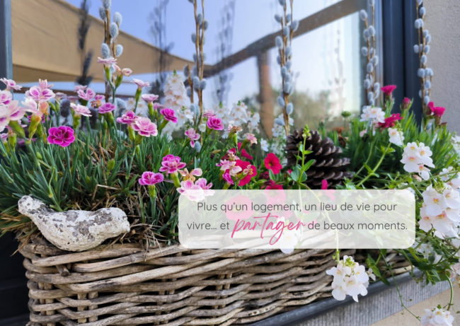 🌿 Nouvelle colocation joyeuse et cosy à Oisquercq en Brabant Wallon – 4 chambres disponibles dès avril 🌿 (dont 2 dispo avant si besoin)