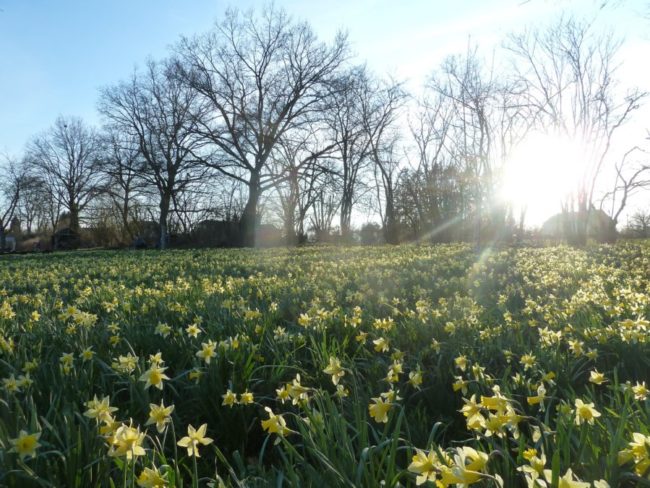 COLOCATION dans Habitat groupé en Gaume