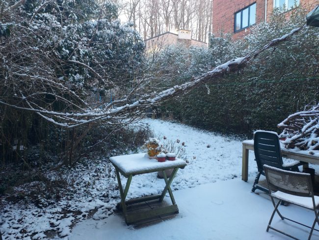 Maison en coloc, à Auderghem