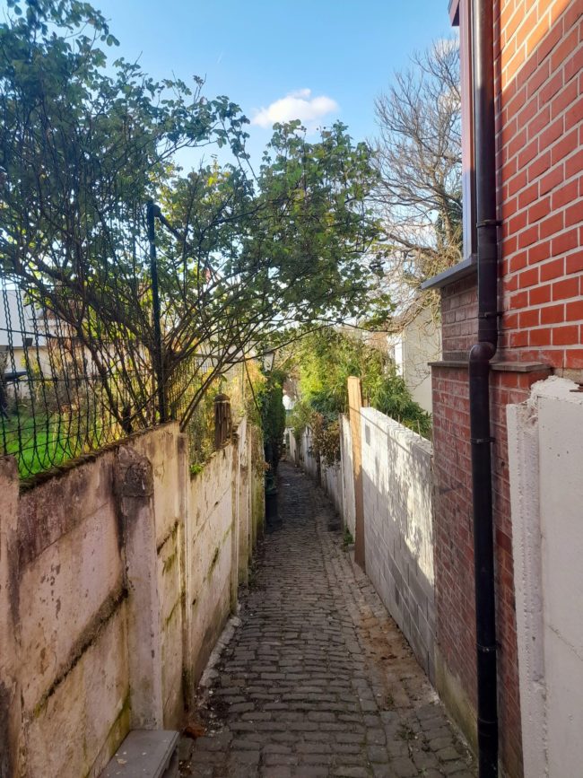 Chambre à louer dans une maison – Auderghem (proche de la Forest de Soignes)
