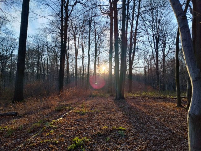 Recherche de chambre en coloc sur Bruxelles - 2