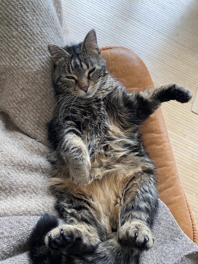 À la recherche d’un petit havre de paix