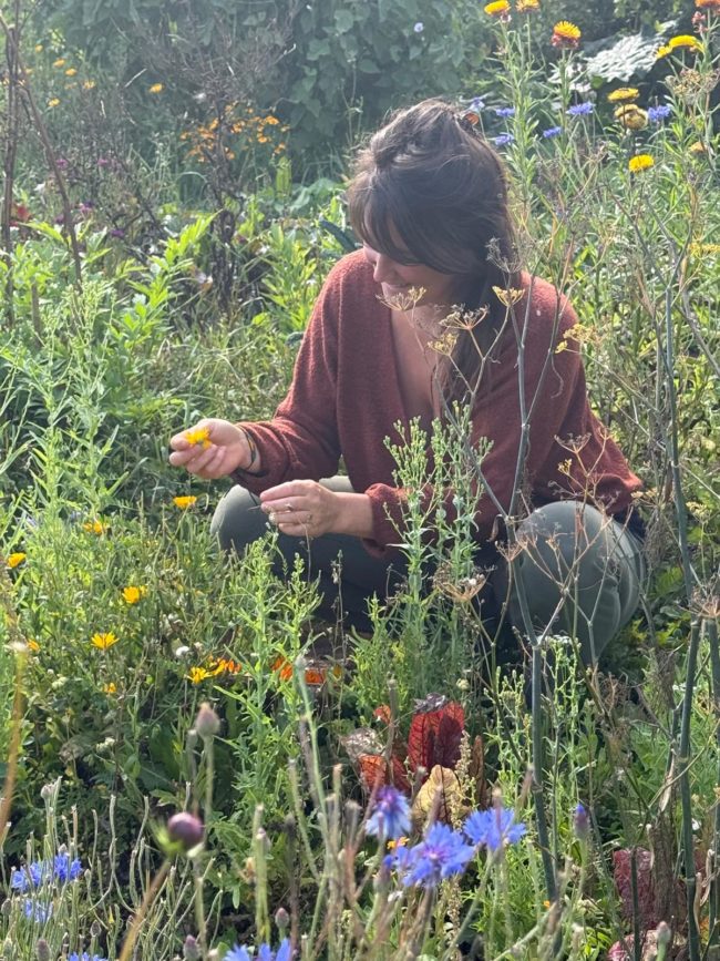 Hola, je cherche un nouveau lieu de vie en collectif 🌈