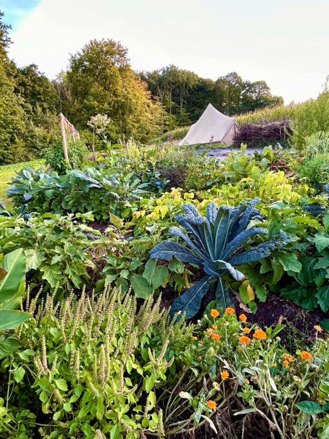 Cohousing en construction à Ellezelles recherche une famille (NL / billinge NL-FR)