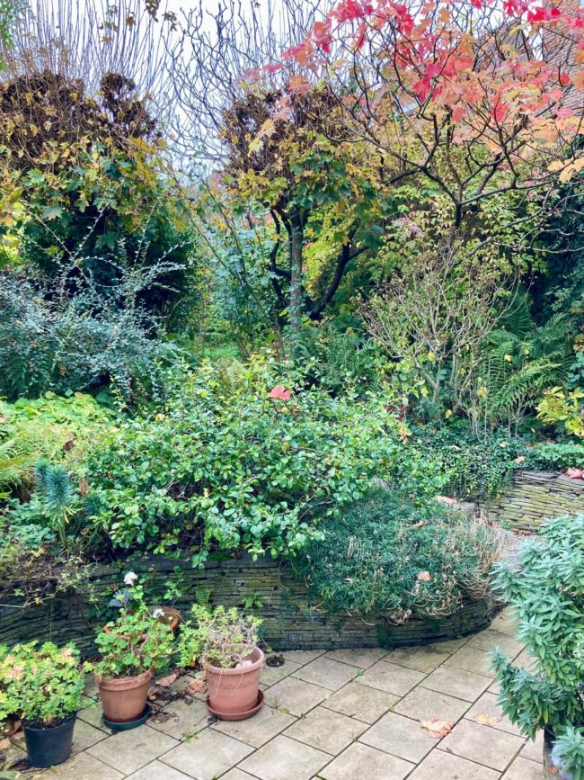 Chambre dans une coloc à Watermael-Boitsfort – Avril 2026