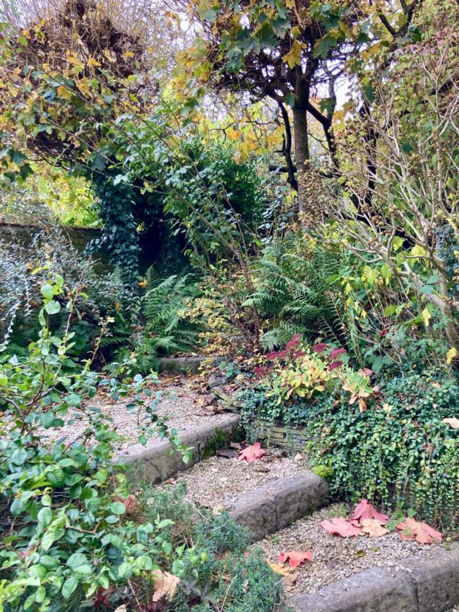 Chambre dans une coloc à Watermael-Boitsfort – Avril 2026