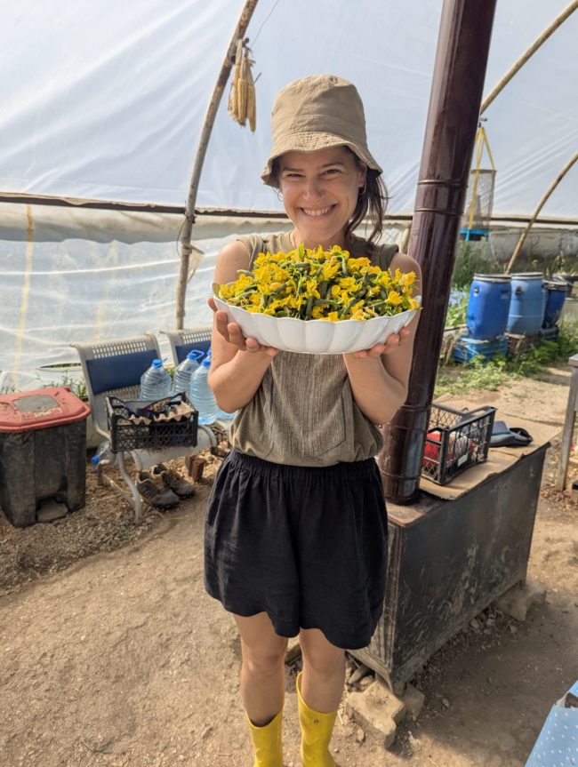 Recherche sous-location Namur àpd de mars