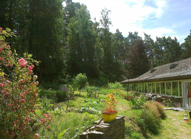 Potager cherche potagiste (appartement à louer à Viller-la-Ville)