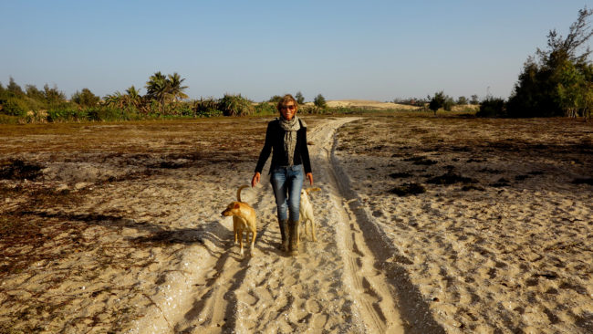Je recherche une personne ayant besoin d’aide au quotidien, en échange d’un logement indépendant (studio ou dépendance avec cuisine).