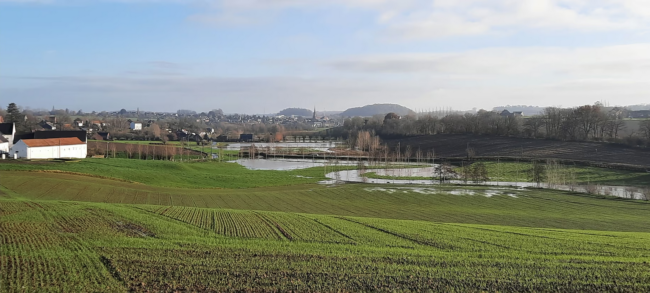 Studio dans un coin de nature à Rebecq