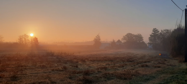 Studio dans un coin de nature à Rebecq