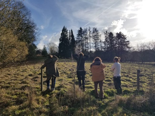 Au sud de Leuven, eco-plek op zoek naar huisgenoten !