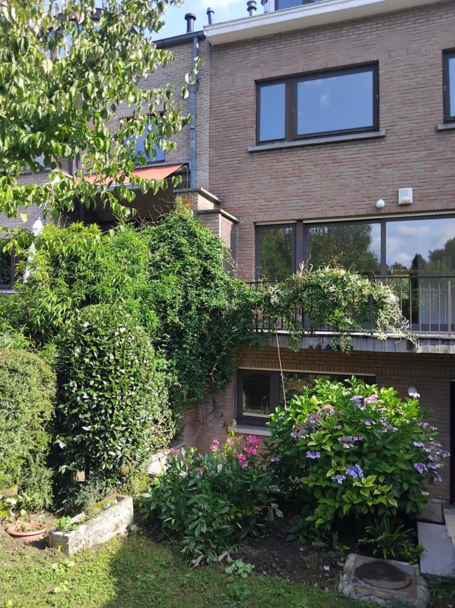 🌿 CO-HABITATION À TROIS À UCCLE (Face à la Ferme) 🌿