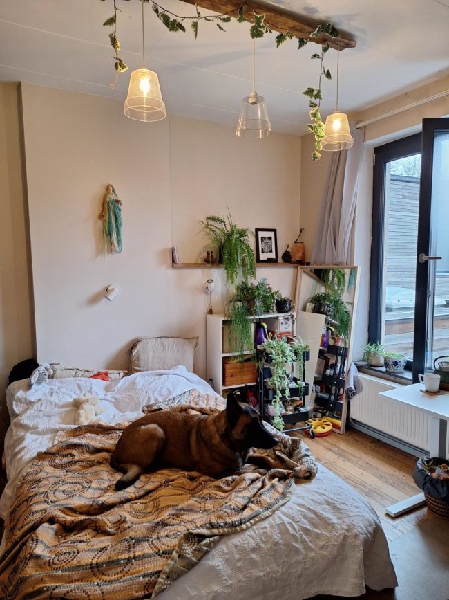 Projet Colocland Factory : Chambre en habitat solidaire et familial