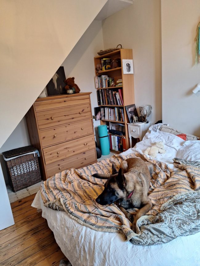 Projet Colocland Factory : Chambre en habitat solidaire et familial