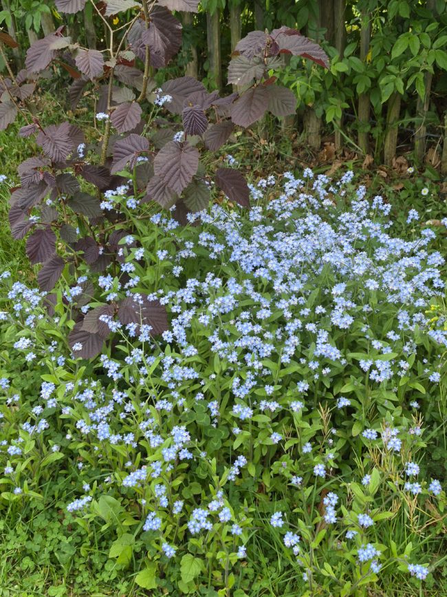 Dame/maman/Manouka active cherche co/location dans un bel habitat groupé au vert
