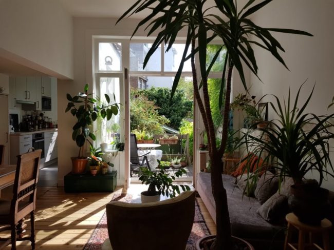 Colocation Schaerbeek à 3 avec jardin ensoleillé