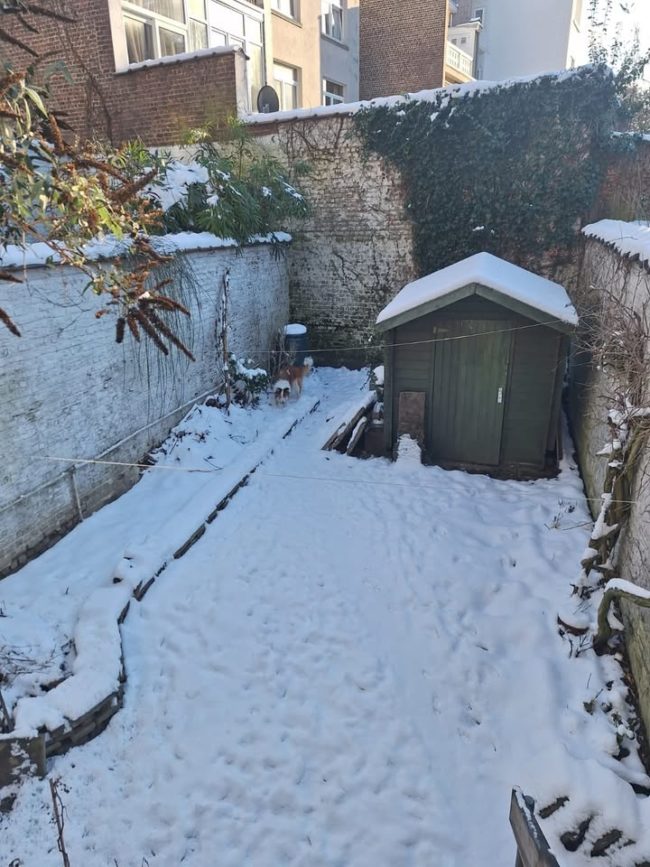 Colocation Schaerbeek à 3 avec jardin ensoleillé