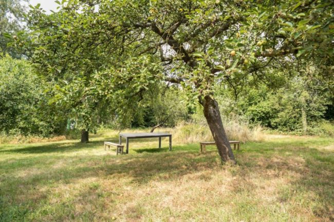 Colocation maison écolo – Grand jardin – LLN/Ottignies – Libre 1er mai