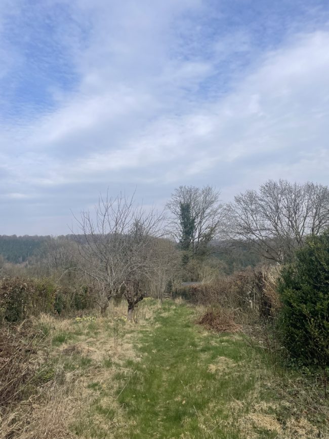 Je recherche un colocataire pour un petit projet maison à Chiny