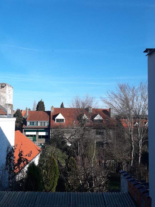 Colocation entre ville et forêt à Boitsfort