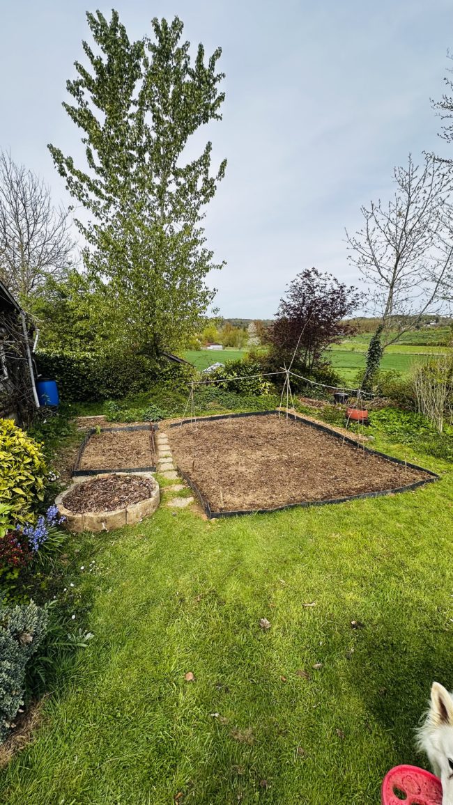 Colocation entre femmes 30+, calme, ordonnée, écologique à 5min de LLN