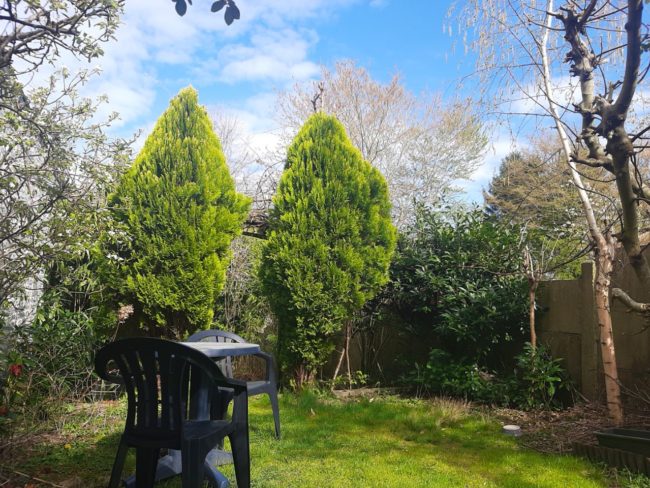 Colocation entre ville et forêt à Boitsfort