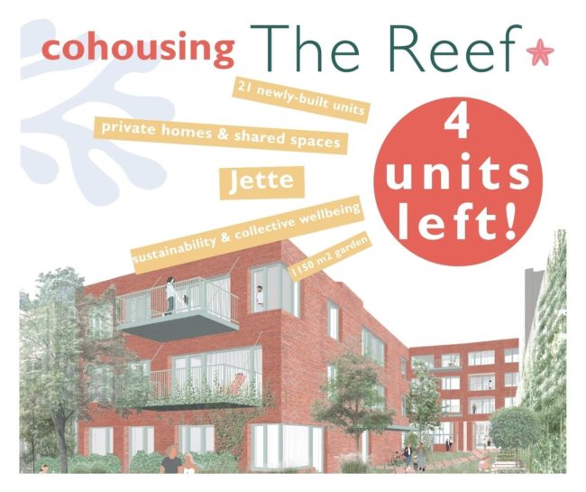 🏡 **Plan de construction modifié – logements 3CH neufs et moins chers** Présentation en ligne du Cohousing The Reef le 14 juillet 2026 🤸🌳🌻
