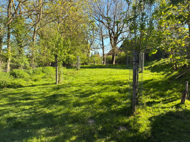 Projet d&rsquo;habitat partagé / copropriété à Perwez