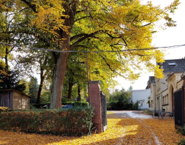 Colocation de 5 à 6 personnes au sein d&rsquo;un habitat groupé – Fraternités du Bon Pasteur (Woluwe-Saint-Pierre)