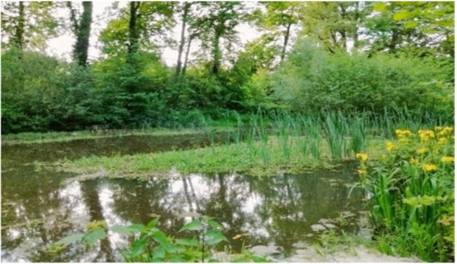 Trois appartements Á VENDRE dans un habitat groupé à Jemappes (Mons)