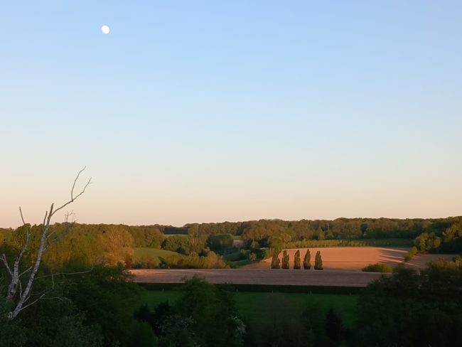 Etage Privatif dans habitat groupé Temploux