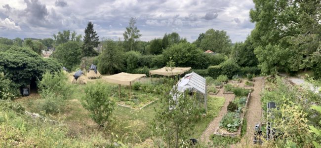 Vous souhaitez louer une maison à la campagne entre Namur et Charleroi et vous avez envie de cultiver vos propres légumes dans un grand potager partagé en permaculture ?
