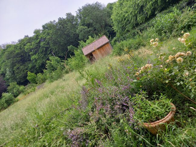 Petit habitat groupé dans un bel environnement verdoyant, calme, au bord d’un ruisseau