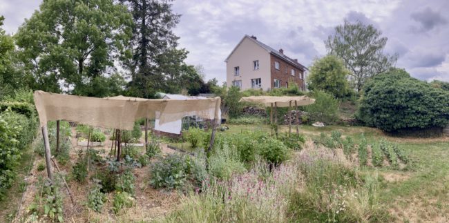 Vous souhaitez louer une maison à la campagne entre Namur et Charleroi et vous avez envie de cultiver vos propres légumes dans un grand potager partagé en permaculture ?