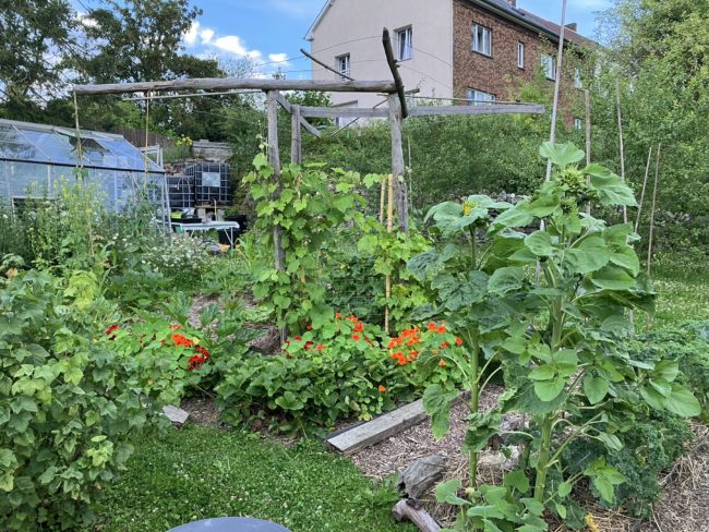 Vous souhaitez louer une maison à la campagne entre Namur et Charleroi et vous avez envie de cultiver vos propres légumes dans un grand potager partagé en permaculture ?