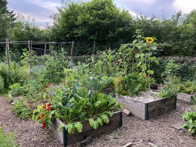 Vous souhaitez louer une maison à la campagne entre Namur et Charleroi et vous avez envie de cultiver vos propres légumes dans un grand potager partagé en permaculture ?