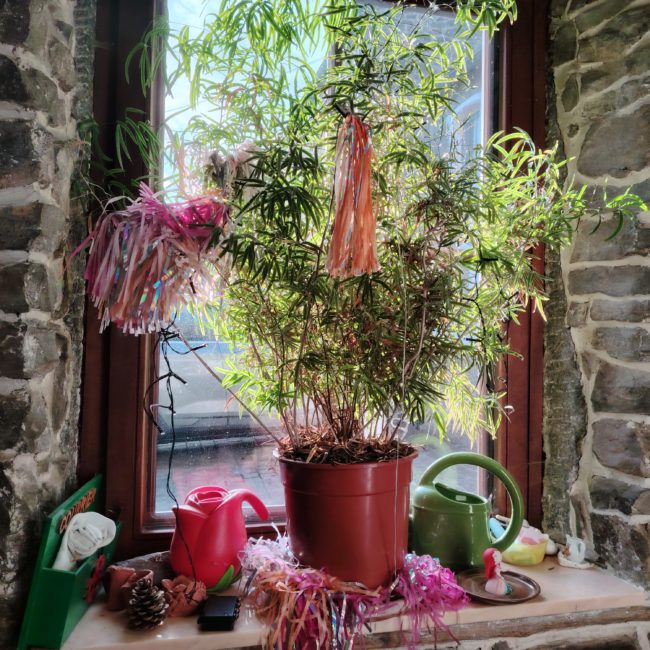 Maison d’artiste en bord de Meuse / mise à disposition du 15 au 31 juillet