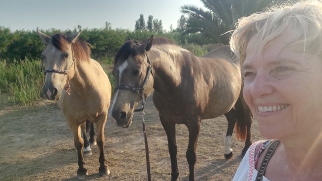Recherche coloc avec espace chevaux