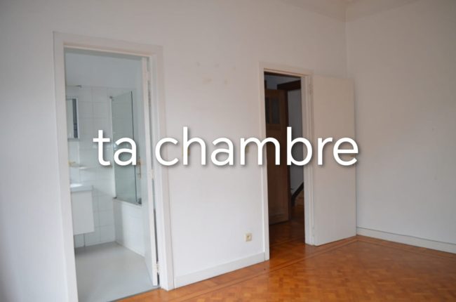 Nouvelle super maison chercher super coloc !
