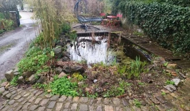 🌿 Colocation conviviale à la campagne – Mont-Theux (4910), Province de Liège